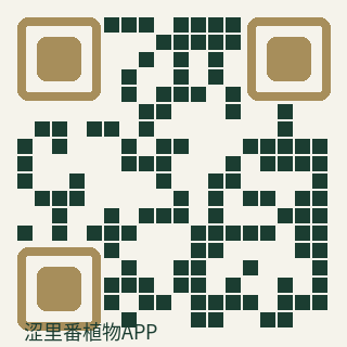 涩里番